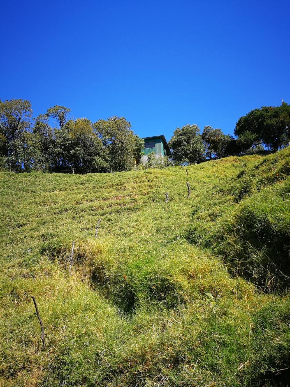 Monteverde Monte Green Eksteriør bilde